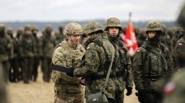 Кива: армия Польши намерена зайти на западную Украину в конце июля