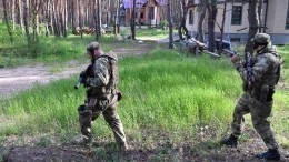 Союзные войска освободили село Катериновка в ЛНР