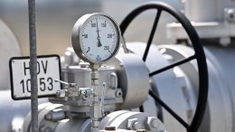Правительство Германии боится, что Россия прекратит поставки газа