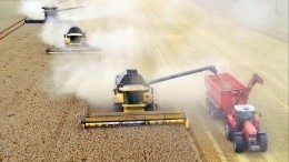 Путин: Россия поставит на мировые рынки 50 миллионов тонн зерна