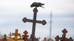 Киев готовит провокацию в районе кладбища погибших от чумы