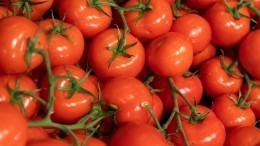 Эндокринолог рассказал, от каких видов рака могут спасти помидоры