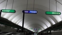 Новые штрафы в метро Петербурга: больше всех заплатит голая гадалка на самокате