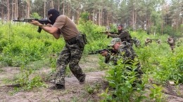 Более двух тысяч боевиков теробороны Украины находятся в Лисчанске