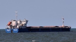Reuters: в Турции задержали российское грузовое судно с зерном