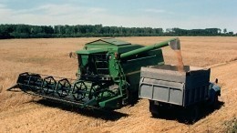 Аграрии в Мелитополе смогут экспортировать зерно по упрощенной схеме
