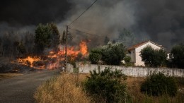 Терзаемую лесными пожарами Португалию ожидает еще и аномальная жара