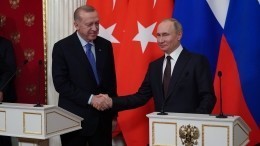 «Зерновой вопрос»: Путин и Эрдоган провели телефонные переговоры