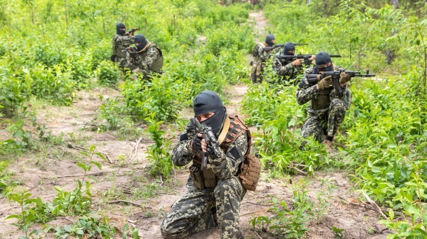 ВСУ попытались начать наступление в Запорожской области