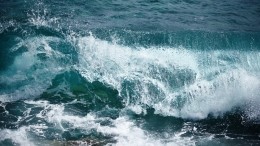 Смертельное селфи: восемь туристов смыло в океан в Омане при включенной камере