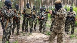 Минобороны сообщили о ликвидации националистов «Правого сектора»* в ДНР