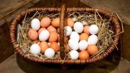Они убивают: кому и почему опасно есть яйца в больших количествах