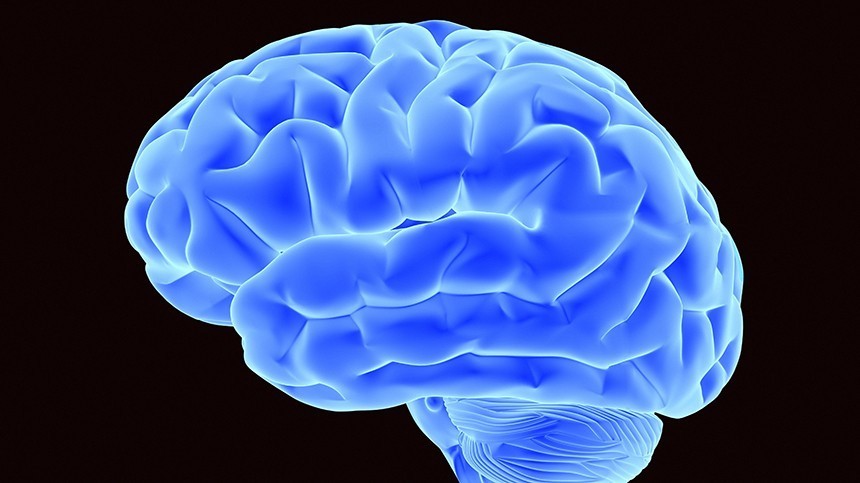 Тест: Как много вы знаете о мозге?