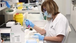 Пришел «Кентавр» — что известно о новом подвиде коронавируса