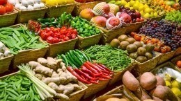 В России поддержат программу бесплатной раздачи еды малоимущим