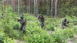 Боевики теробороны расстреляли отступающие остатки 15-го батальона ВСУ