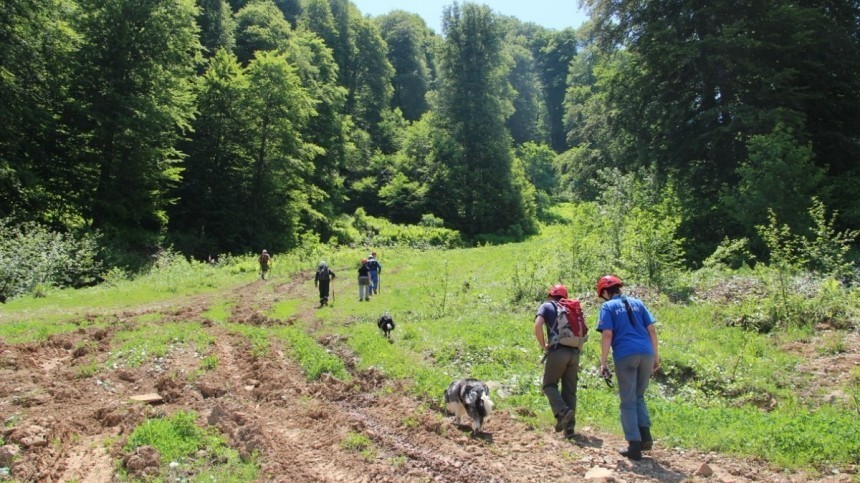 Мать с семью детьми пропали под Краснодаром при попытке пройти пешком через лес