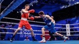 Команда ЦФО стала обладателем Кубка России по боксу