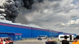 Сгорели «миллионы тонн товара»: сотрудник Ozon рассказал об убытках из-за пожара