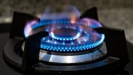 Handelsblatt: Европа отбирает газ у развивающихся стран ради отказа от российского