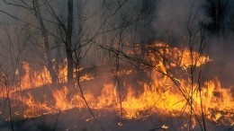 Из-за масштабных пожаров в Югре начали задыхаться жители городов Урала