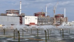Россия запросила заседание Совбеза ООН из-за обстрелов Запорожской АЭС