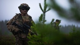 Собственная безопасность и оборона: финны посоветовали Эстонии создать армию