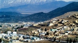 Посол России в Кабуле назвал принципы работы с движением «Талибан»*