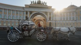 Лошадь в Петербурге разметала летнюю веранду и посетителей ресторана