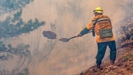 Огненный шторм от лесных пожаров не щадит поселки в Ростовской области