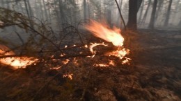 Всюду едкий запах дыма: лесные пожары в Ростовской области вышли из-под контроля