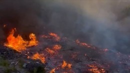С трудом удалось остановить: под Петербургом МЧС борется с лесными пожарами