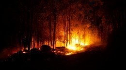 Сводки огненного фронта: в Рязанской области МЧС продолжает борьбу с лесными пожарами