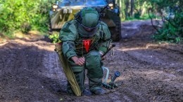 Реагирует на металл: в Артемовске нашли оставленную ВСУ запрещенную немецкую мину