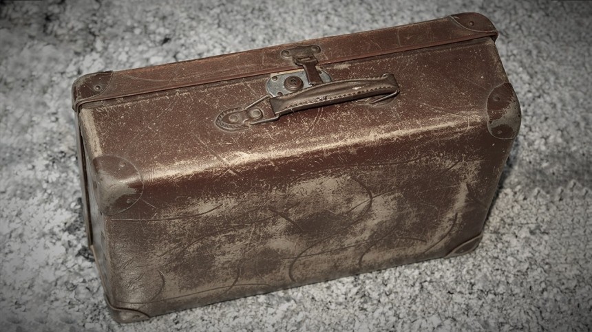 Саквояж с сюрпризом: семья купила чемодан с засохшими останками детей
