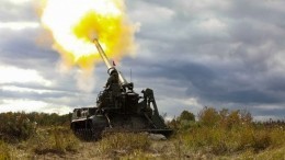 Военкор «Известий» показал удары 100-килограммовыми снарядами из «Пионов» по ВСУ