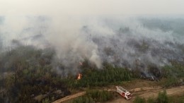 Природа — не наш союзник: как в Рязанской области борются с лесными пожарами