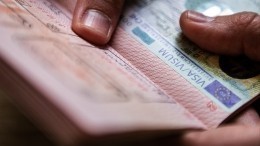 Вild: оппозиция в Германии выступила за запрет выдачи шенгенских виз россиянам