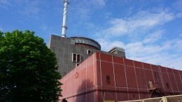 Совет Госдумы готовит «жесткое заявление» по ситуации вокруг Запорожской АЭС