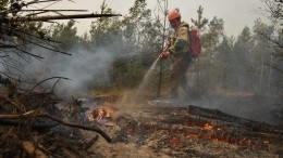 Названы главные сложности в борьбе с лесными пожарами в Рязанской области