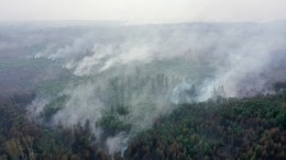 Распространение лесных пожаров под Рязанью остановили с помощью отжигов