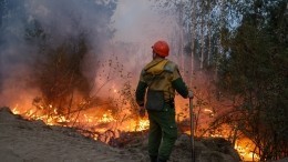 Огненный шторм может вернуться в Рязанскую область