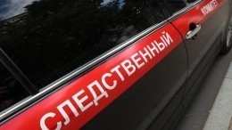 Жителя Челябинска задержали за сексуальное насилие над потенциальной тещей