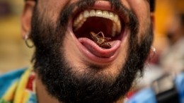 Черви, тля и саранча: зачем людей хотят приучить есть насекомых
