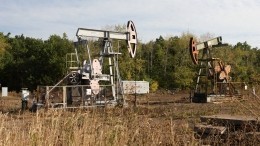 ОПЕК+ сократит добычу нефти на 100 тысяч баррелей в сутки