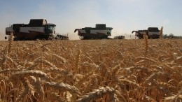 Постпред при ООН Небензя заявил о срыве зерновой сделки в отношении экспорта из РФ