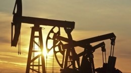 Business Standard: РФ предложила Индии скидки на нефть за отказ от потолка цен