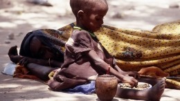 В ООН предупредили о риске острой нехватки продовольствия в 2023 году