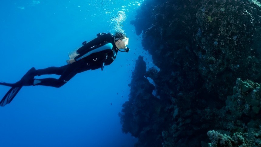 Ни формы, ни конечностей: на дне Карибского моря обнаружили неизвестное существо