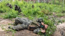 Российские военные уничтожили наемников ЧВК «Академия» и боевиков «Кракена»